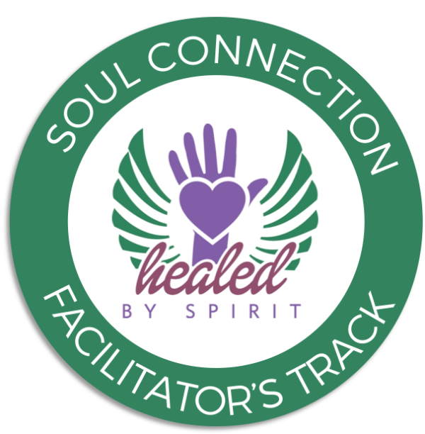 Soul Connection Facilitator's Curriculum